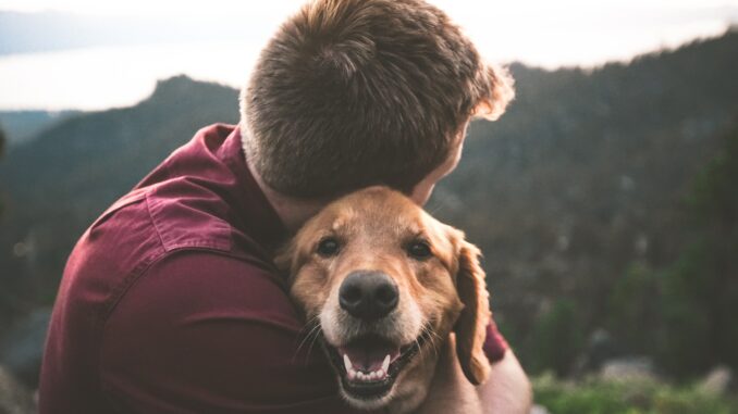 eric-ward-ISg37AI2A-s-unsplash
